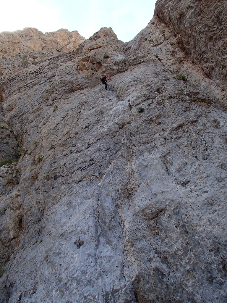 FireSwamp041 Luke-036