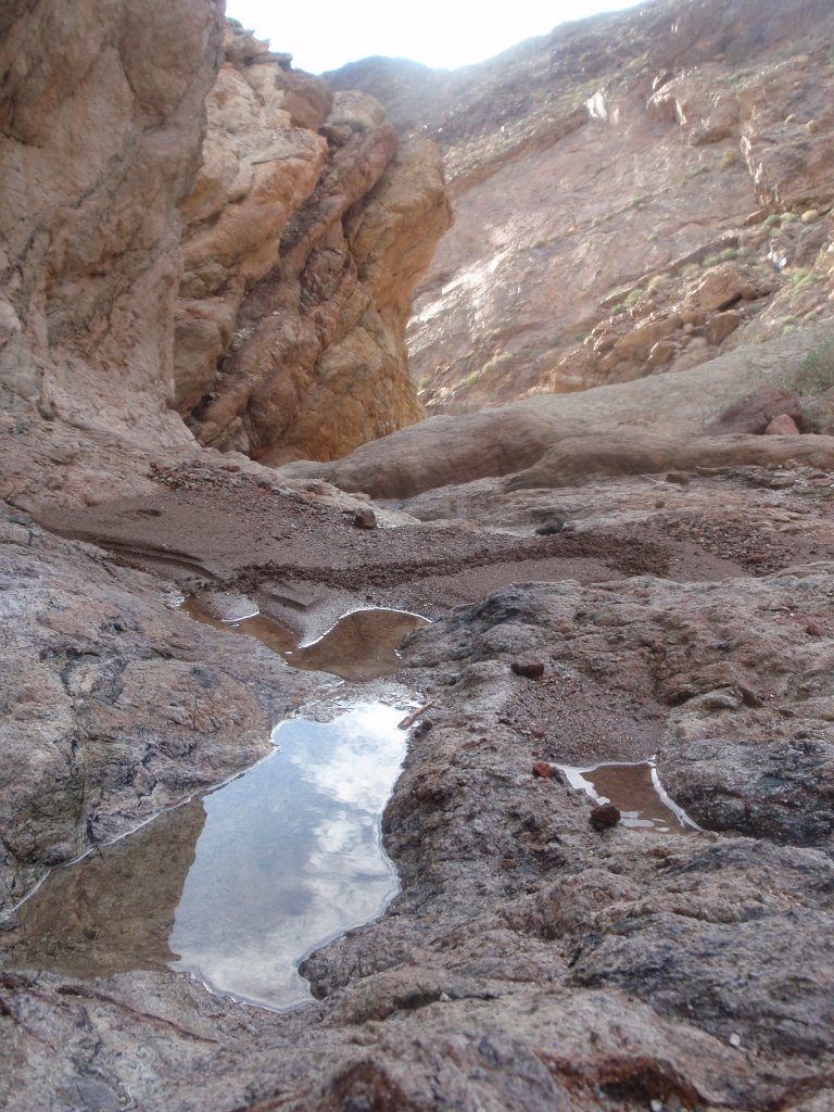 341 P3070071