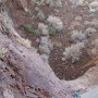 101 P3070705