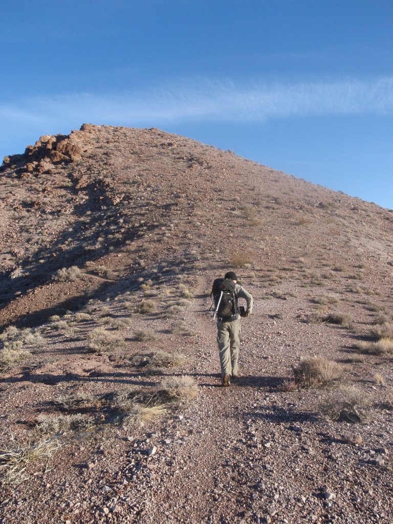 012 P2210493