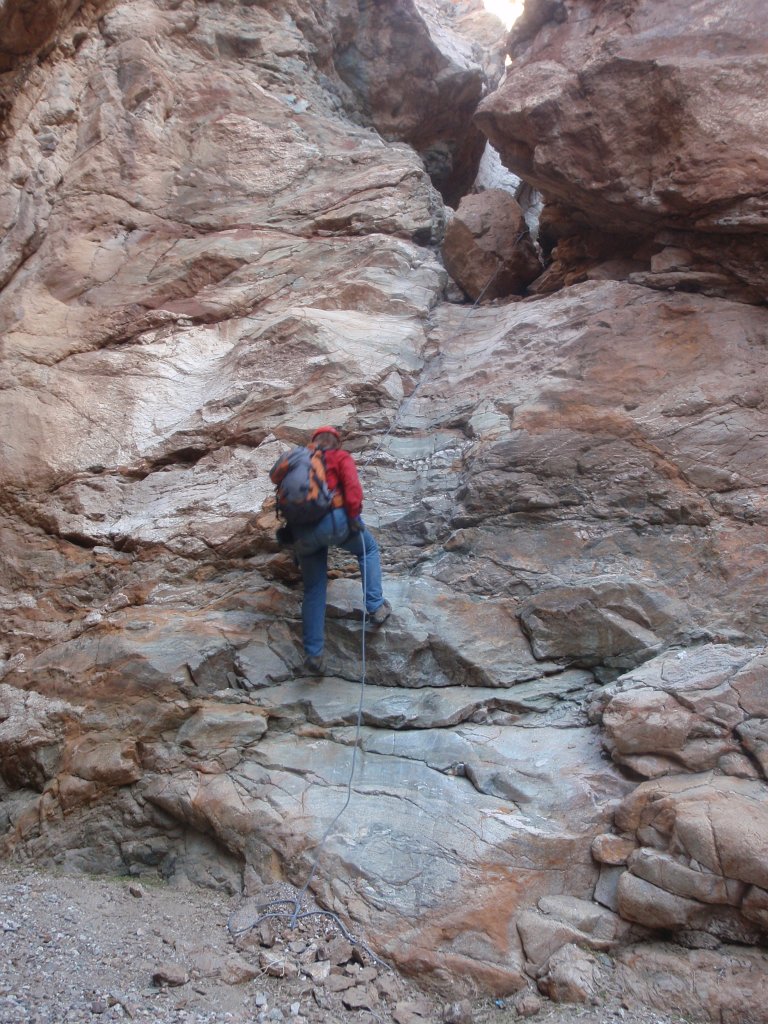 195 P2210859