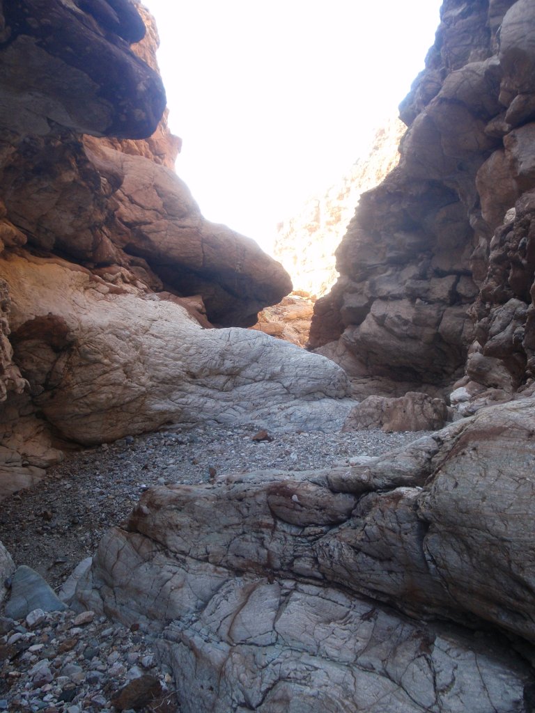 203 P2210873