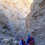 Vinegaroon105 Luke-101