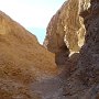 Vinegaroon132 Luke-126
